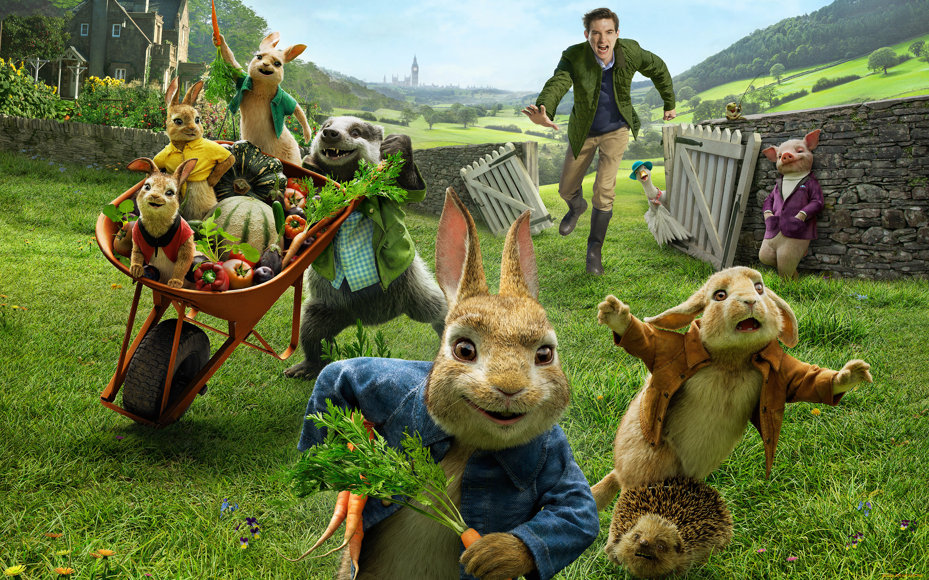  , peter rabbit, peter, rabbit